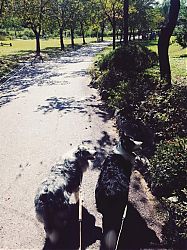 FB27092020A.jpg