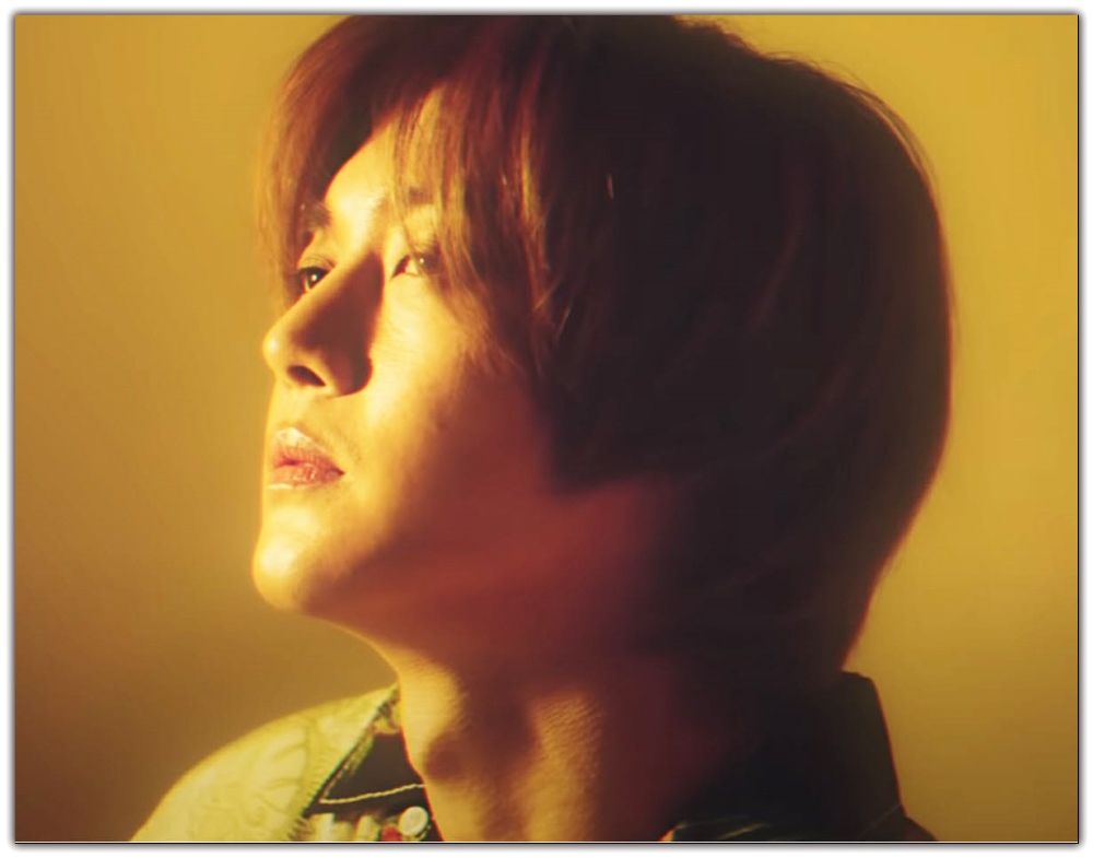 Jaune - Yellow
