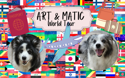 Kim Hyun Joong : ART & MATIC’s world tour