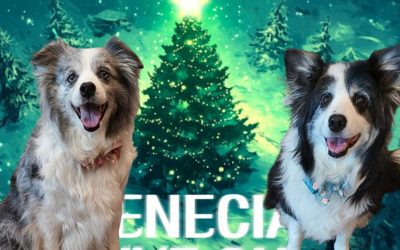 Kim Hyun Joong : Henecia LiveON tomorrow with Art & Matic