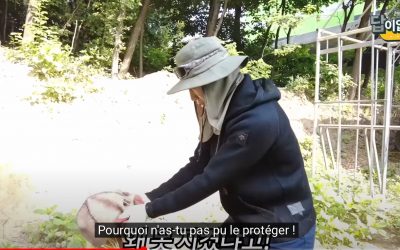 Kim Hyun Joong : The FARM episodes 14 & 15