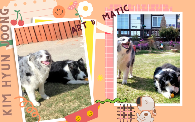 Kim Hyun Joong : Art & Matic on a trip