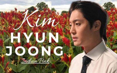 Kim Hyun Joong : why the name ‘Indian Pink’?