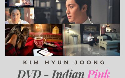 Kim Hyun Joong : Indian Pink movie