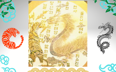 Kim Hyun Joong : Tiger & Dragon