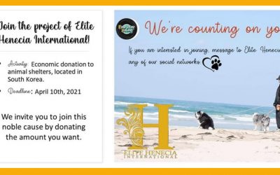 Kim Hyun Joong : a very nice “birthday” project…